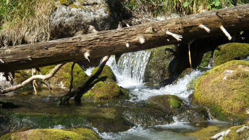 creek water tatry
