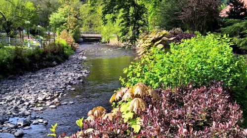 creek steinig autumn