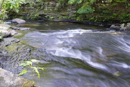 creek stream outdoor