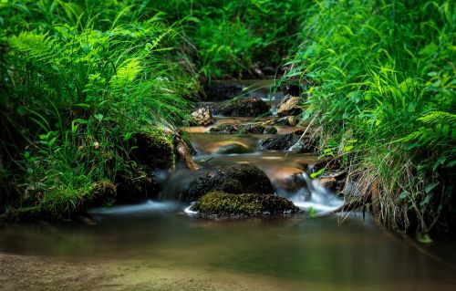 creek torrent nature
