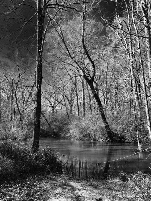 creek stream water