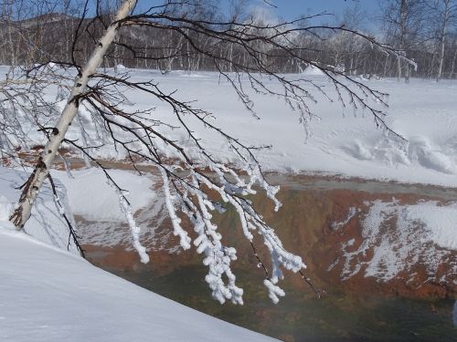 creek winter frost