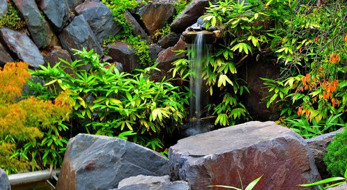 creek  japanese garden  japanese