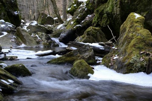 creek bach austria