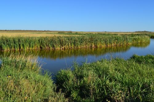 creek water prairie