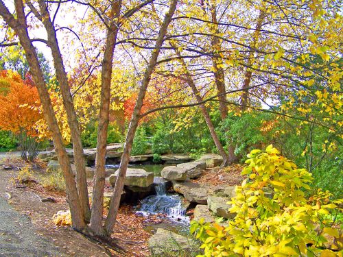 Creek And Trees In Autumn