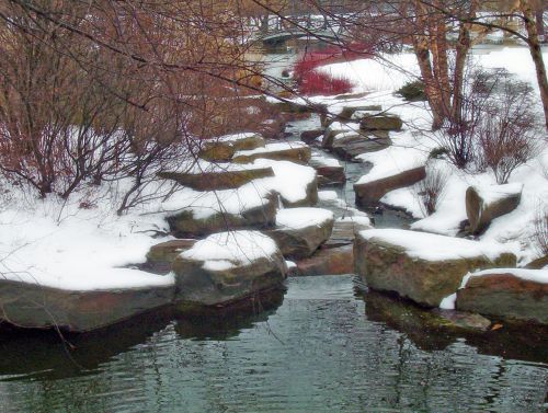 Creek In Snow