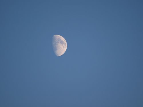 crescent moon sky