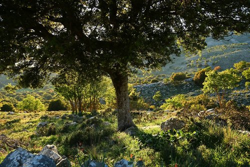 crete  mountains