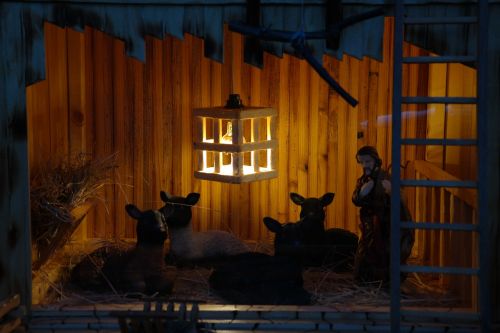crib stall nativity scene