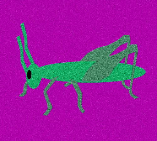 cricket bug grasshopper