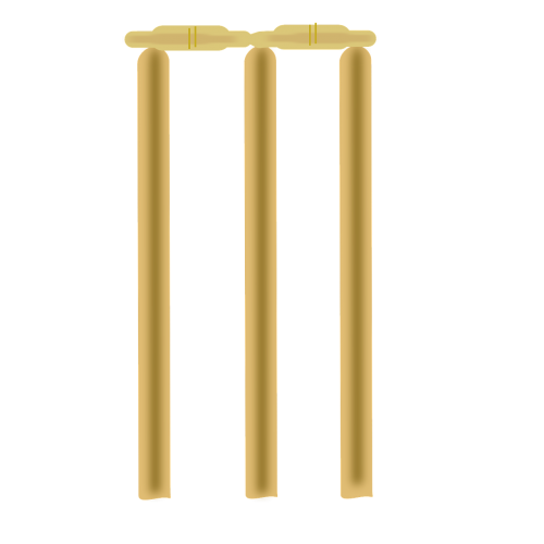 cricket stump wooden