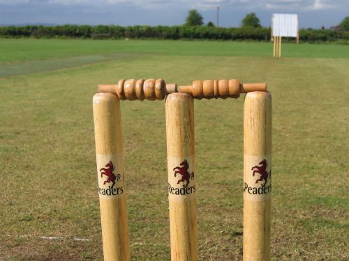 cricket stumps bails