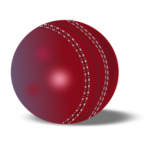 cricket ball cricket ball