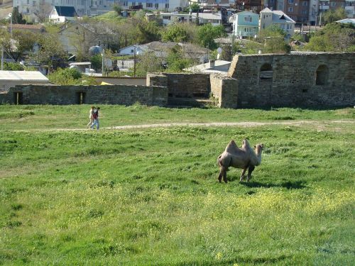 crimea sudak and novy svet genoese fortress