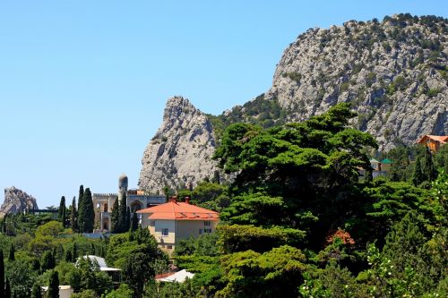 crimea simeiz mountain cat