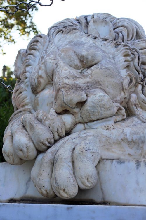 sleeping leo marble