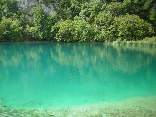 croatia lake nature