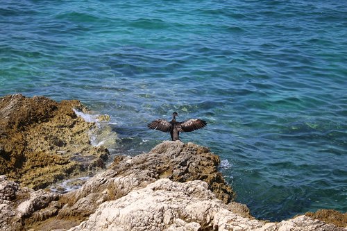 croatia  vacations  sea