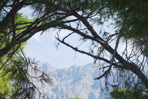 croatia  mountains  landscape