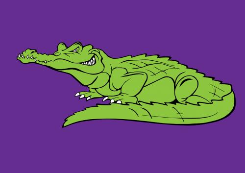 crocodile alligator figure