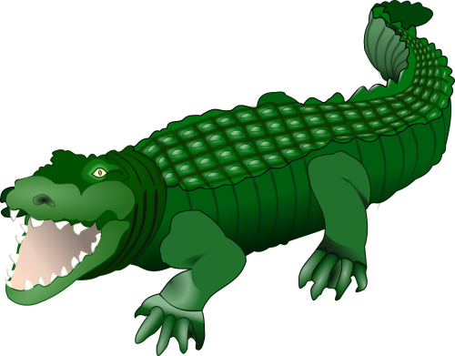 crocodile alligator animal