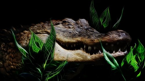 crocodile  fractalius  tooth
