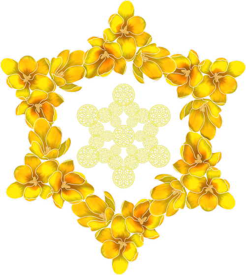 crocus  hexagram  yellow