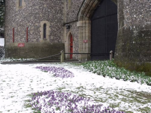 Crocus And The Castle Wall