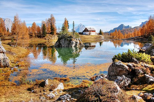 croda da lago  dolomites  italy