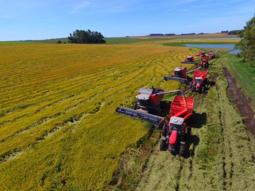 crop rice tractor harvester