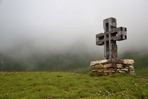 cross grass fog