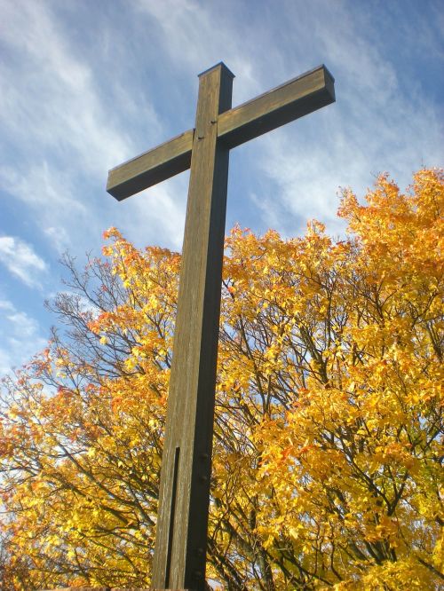 cross tree autumn