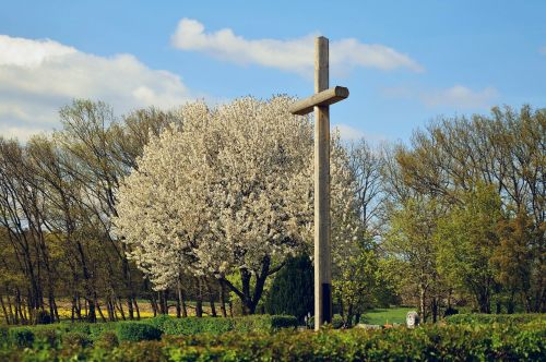 cross cemetery spring