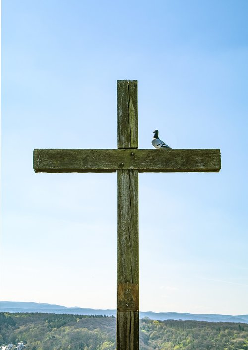 cross  dove  peace