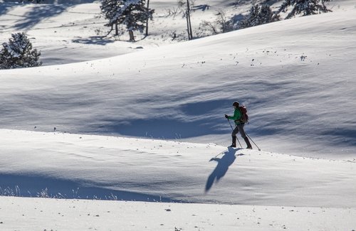 cross country  skier  snow