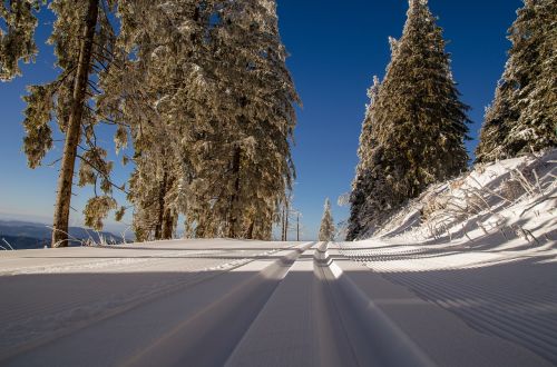 cross-country ski trail snow winter