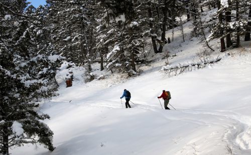 cross country skiers snow travel