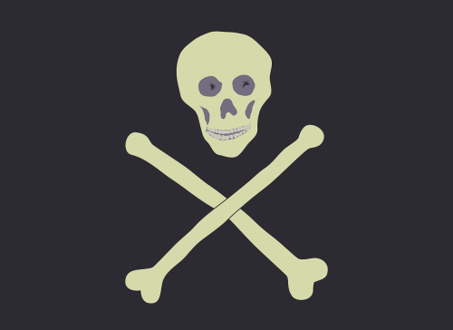 crossbones pirate skull