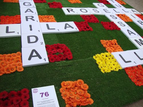 crossword flower carpet flower art
