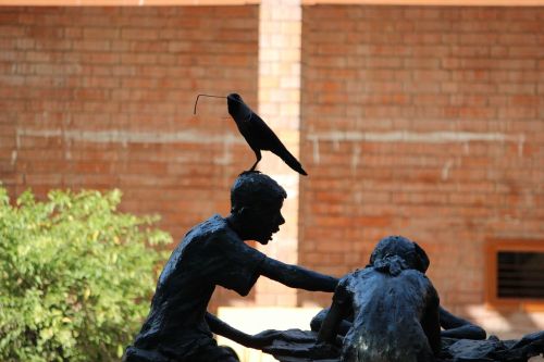 crow birds statue