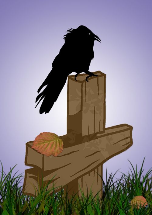 crow bird grave site