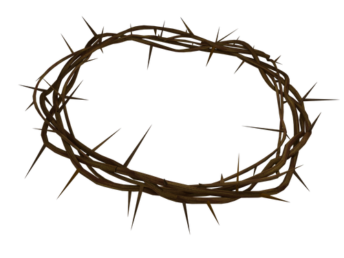 crown  of  thorns