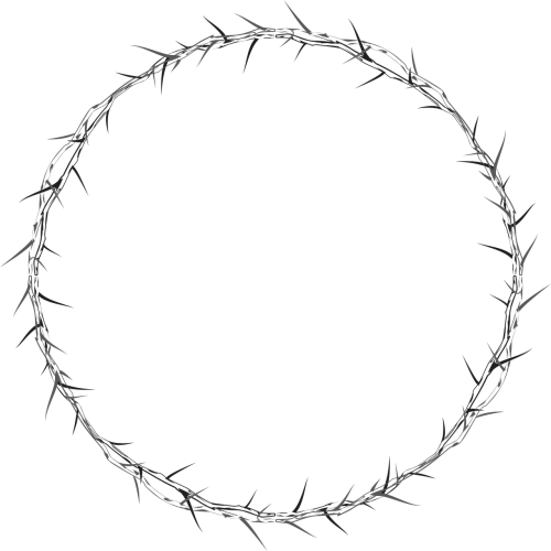 crown of thorns circle frame