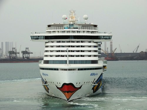 cruise ship  ship  sea