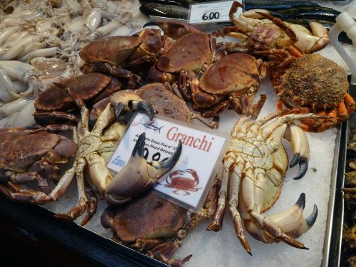crustaceans crabs fish market