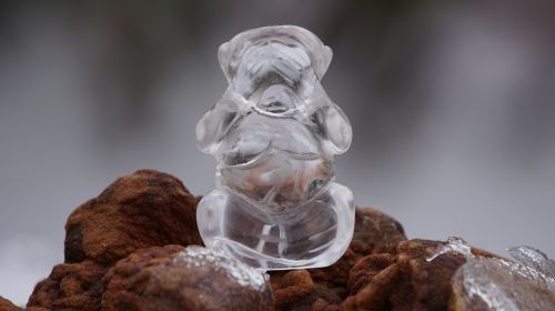 crystal monkey glass