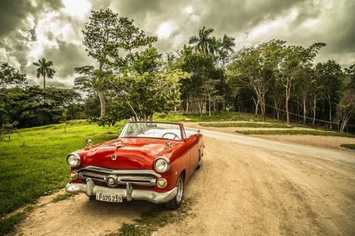 cuba old car forest