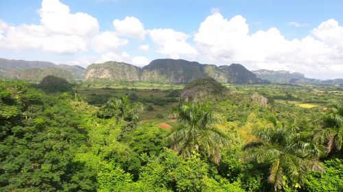 cuba forest mountain