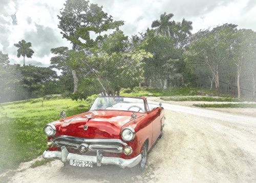 cuba old car forest